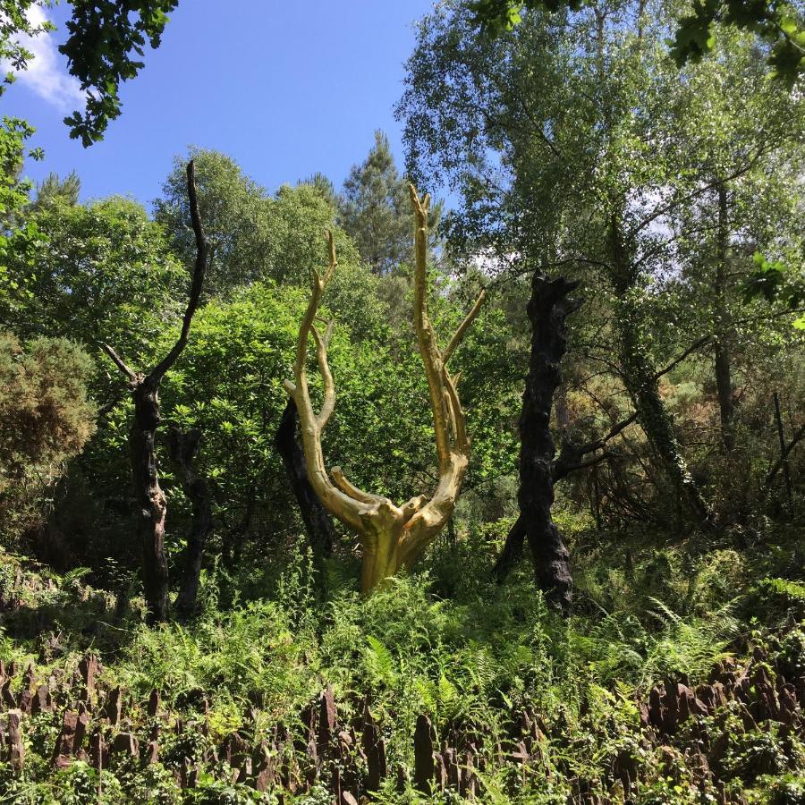 L'Hotie De Broceliande, Au Coeur Des Sites Naturels Et Legendaires Paimpont Bagian luar foto