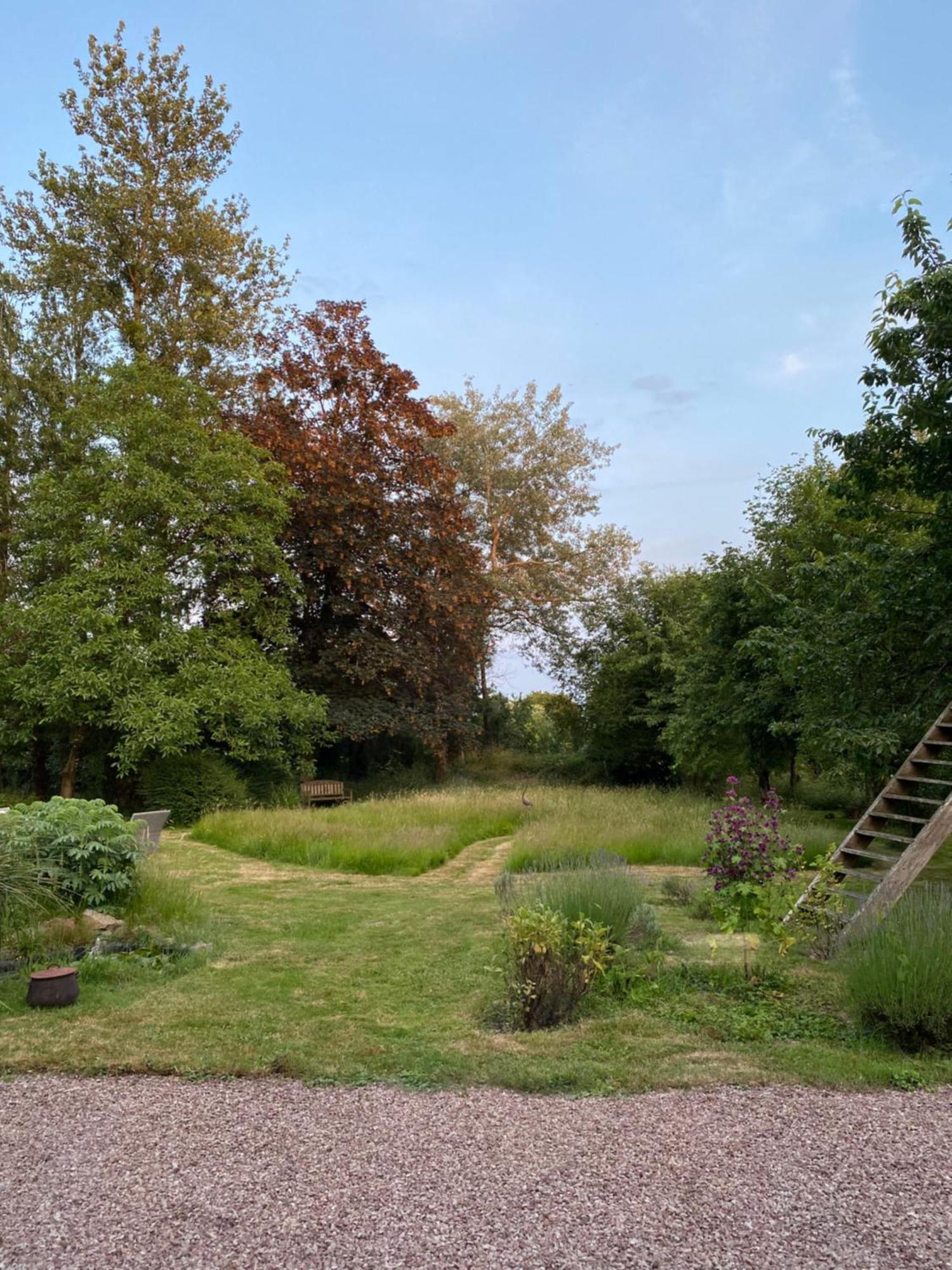 L'Hotie De Broceliande, Au Coeur Des Sites Naturels Et Legendaires Paimpont Bagian luar foto