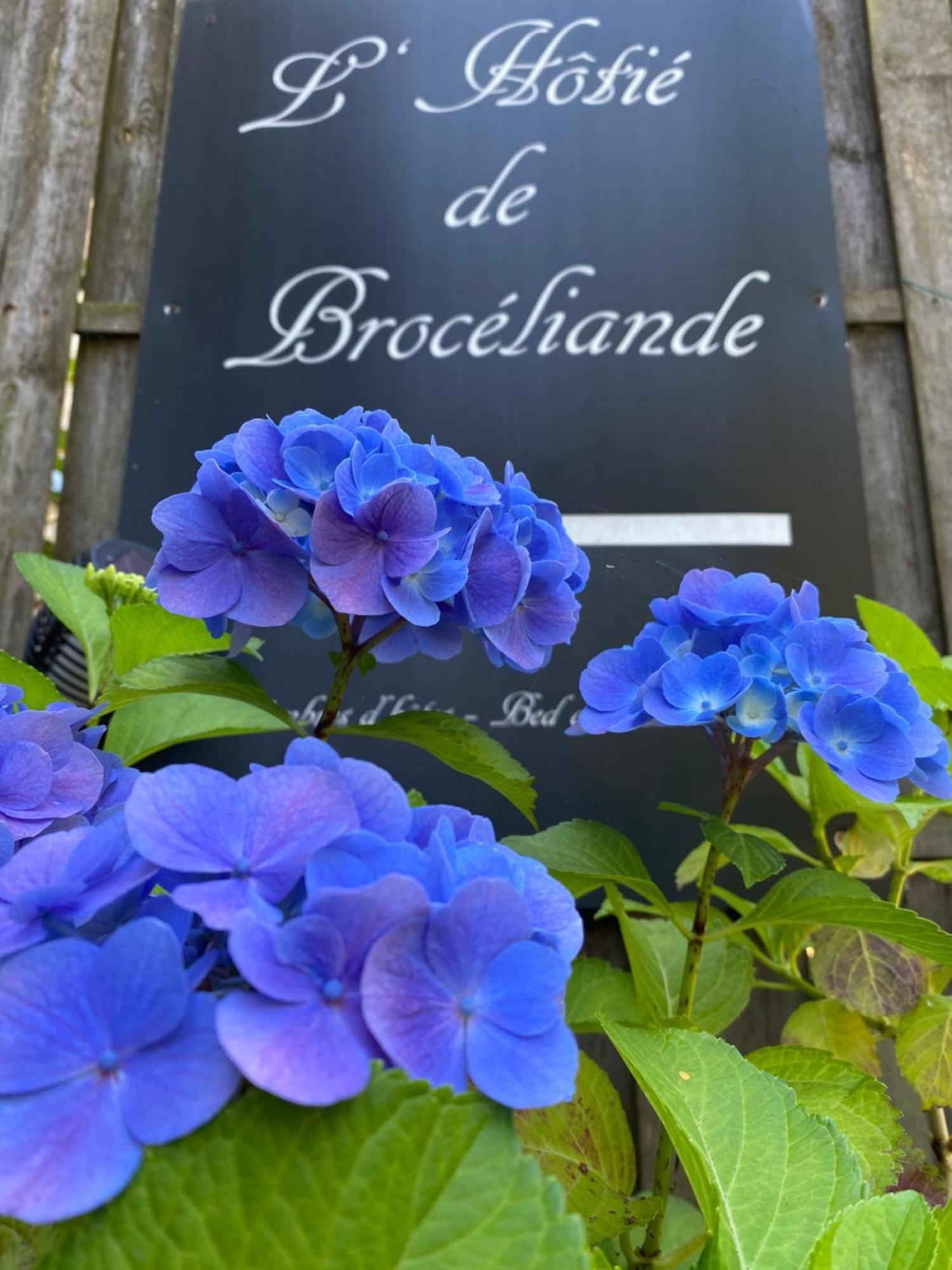 L'Hotie De Broceliande, Au Coeur Des Sites Naturels Et Legendaires Paimpont Bagian luar foto