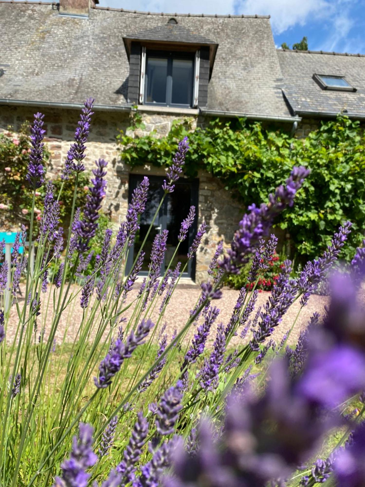 L'Hotie De Broceliande, Au Coeur Des Sites Naturels Et Legendaires Paimpont Bagian luar foto