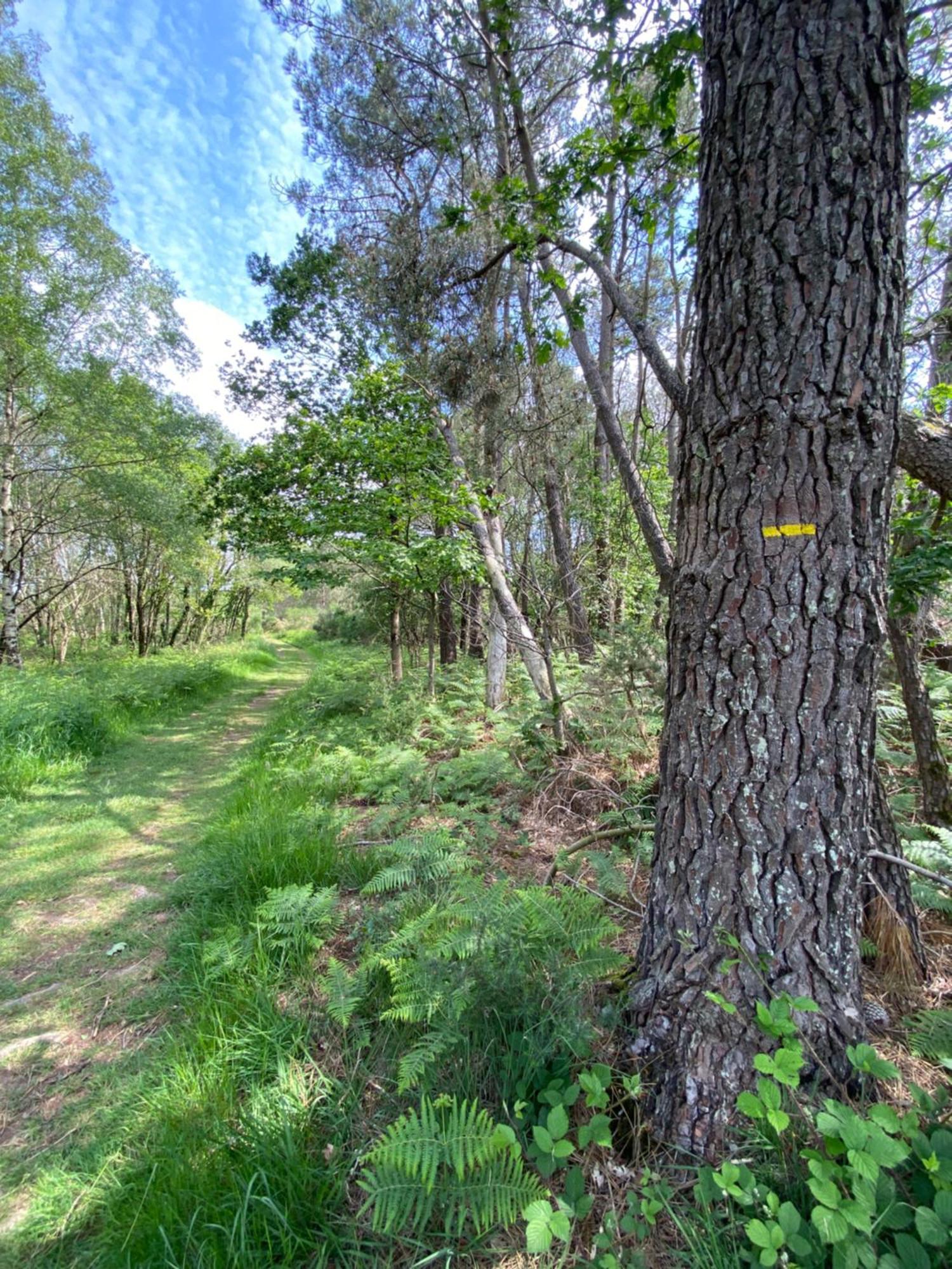 L'Hotie De Broceliande, Au Coeur Des Sites Naturels Et Legendaires Paimpont Bagian luar foto